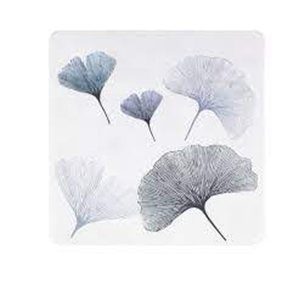 TAPIS DE DOUCHE GINGKO 54X54 CM