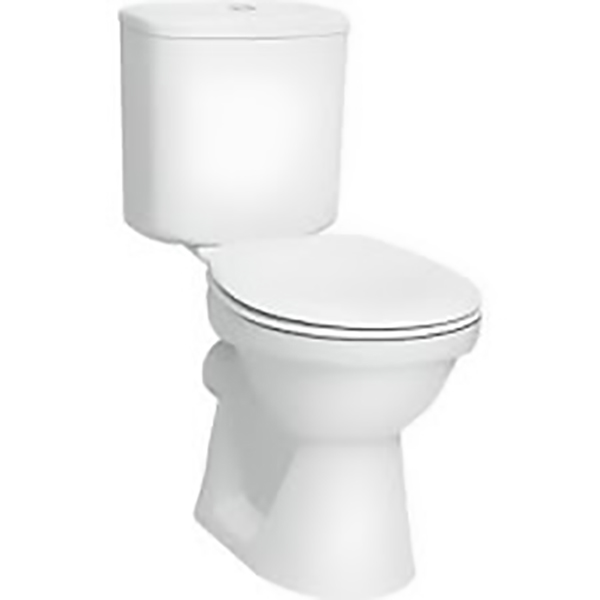 WC COMPLET SORTIE VERTICALE 100MM DOUBLE POUSSOIR