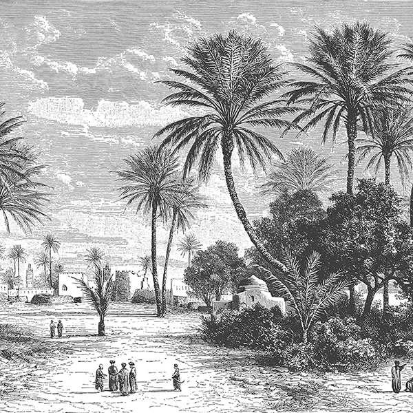 PAPIER PEINT OASIS SUR MESURE PARTIE 2