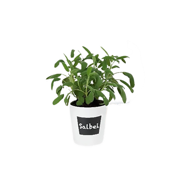 POT D HERBES WAIA D13X13 CM