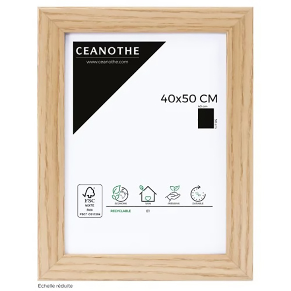 CADRE 40X50 NATURE