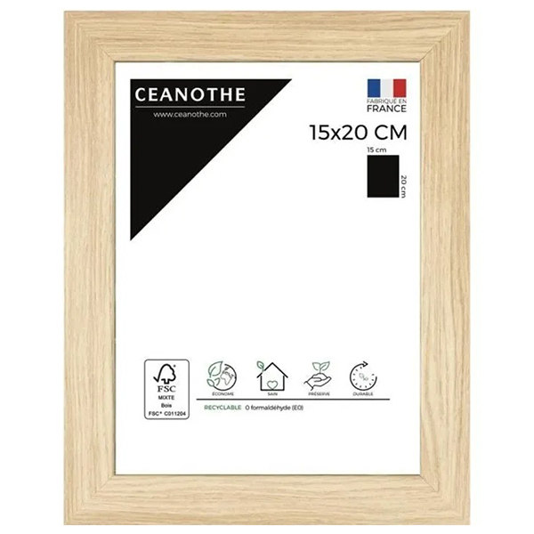 CADRE 15X20 BOREALE