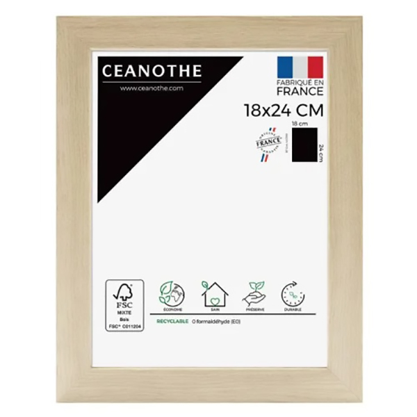 CADRE 18X24 BOREALE