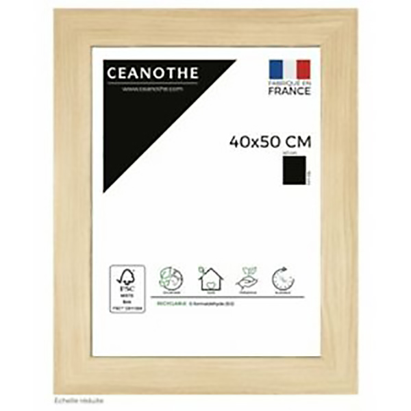CADRE 40X50 BOREALE