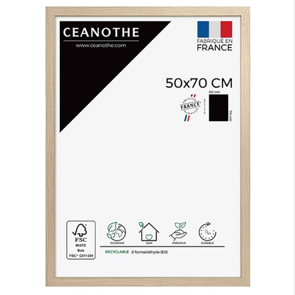 CADRE 50X70 BOREALE