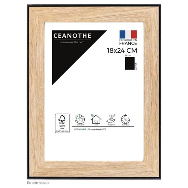 CADRE 18X24 NEWTON BOIS
