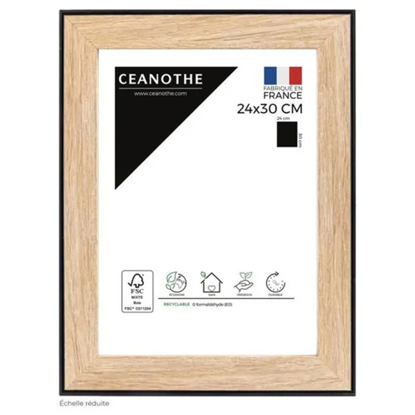 CADRE 24X30 NEWTON BOIS