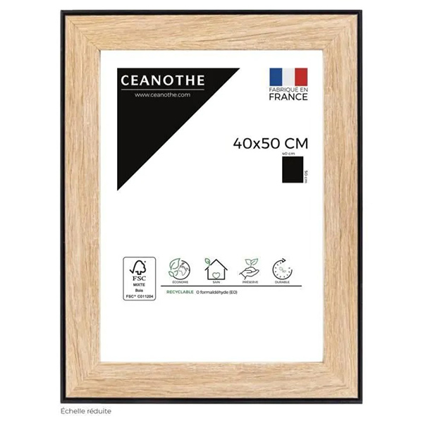 CADRE 40X50 NEWTON BOIS
