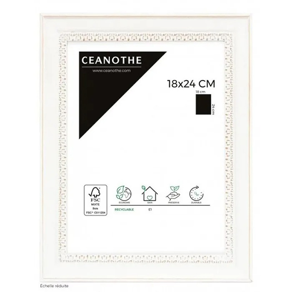 CADRE 18X24 ALMA BLANC
