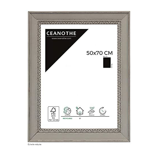 CADRE 50X70 ALMA GRIS