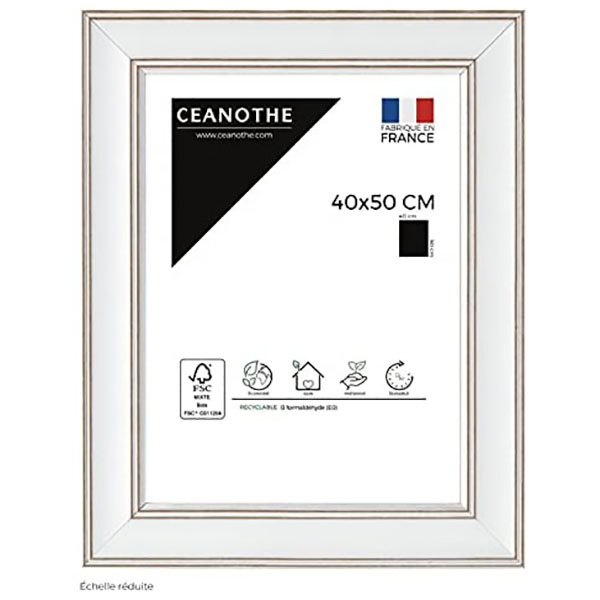 CM 40X50 CONSTANCE 3 BLANCHI
