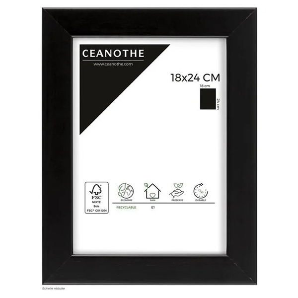 CADRE 18X24 NOIR MAT