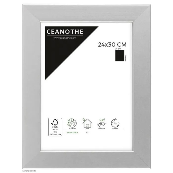 CADRE 24X30 ALU MAT
