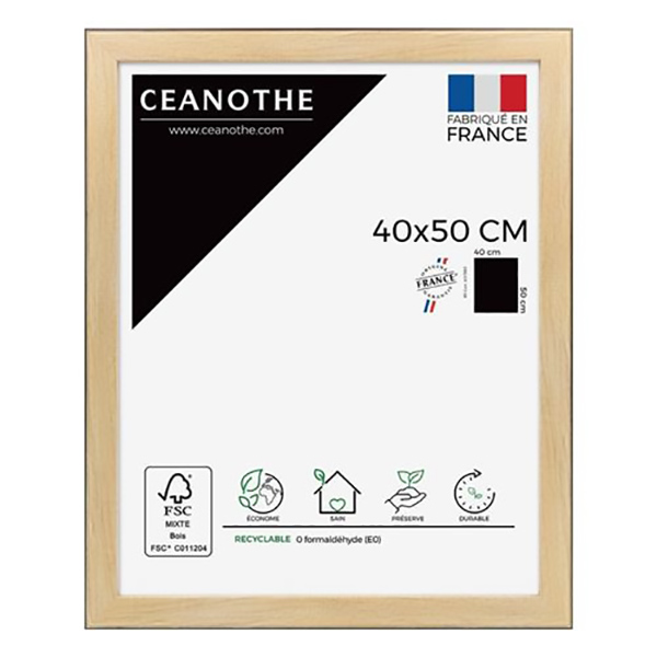 CADRE 40X50 NEWTON BOIS NOIR