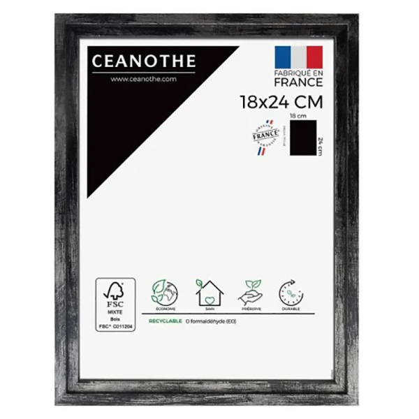 CADRE 18X24 SOHO