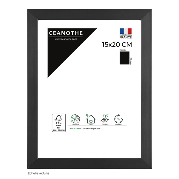 CADRE 15X20 PRECIOUS CARBONE