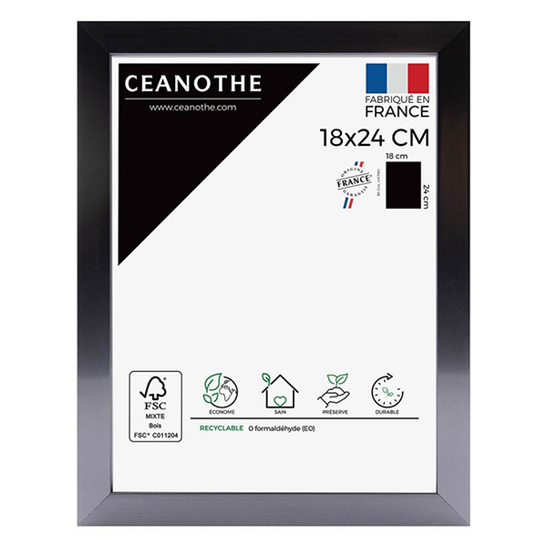 CADRE 18X24 PRECIOUS CARBONE
