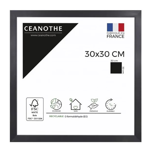 CADRE 30X30 PRECIOUS CARBONE