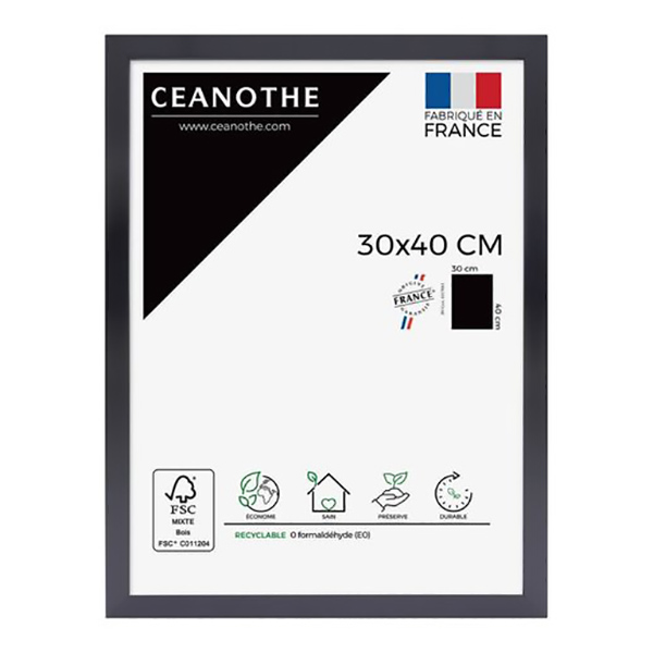 CADRE 30X40 PRECIOUS CARBONE