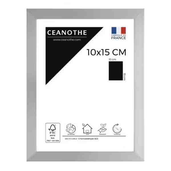 CADRE 10X15 PRECIOUS ACIER