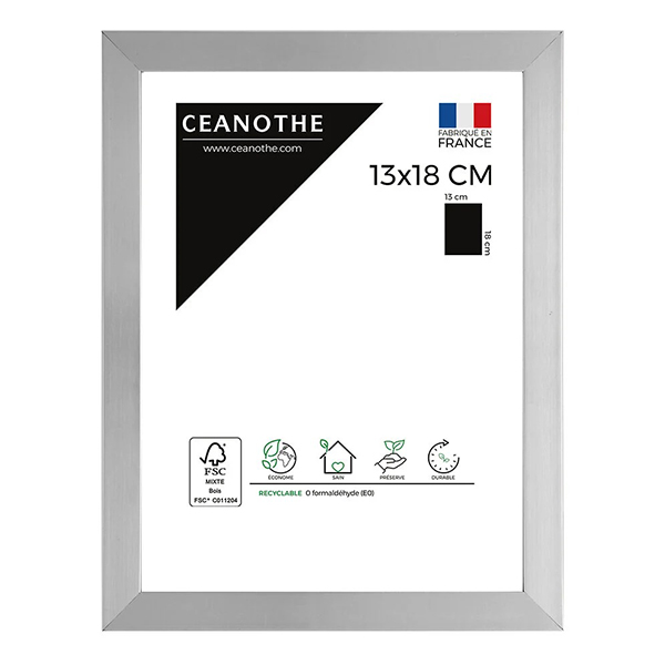 CADRE 13X18 PRECIOUS ACIER