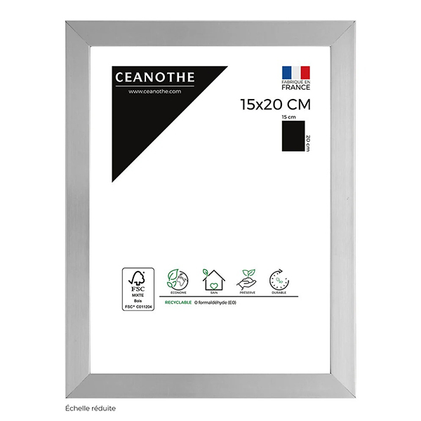 CADRE 15X20 PRECIOUS ACIER