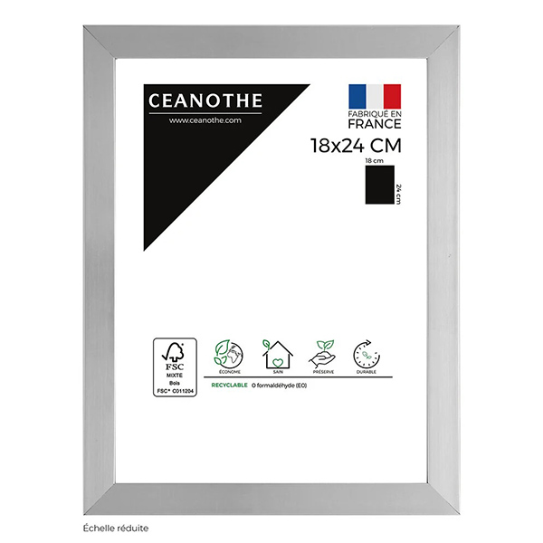 CADRE 18X24 PRECIOUS ACIER