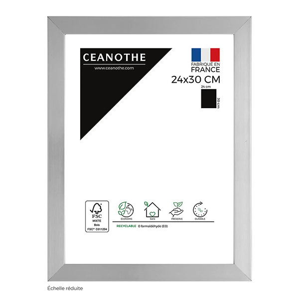 CADRE 24X30 PRECIOUS ACIER