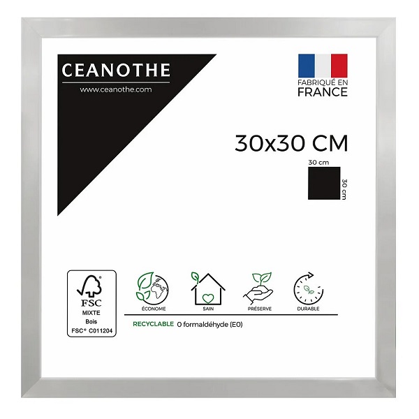 CADRE 30X30 PRECIOUS ACIER