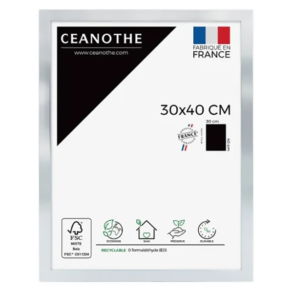 CADRE 30X40 PRECIOUS ACIER