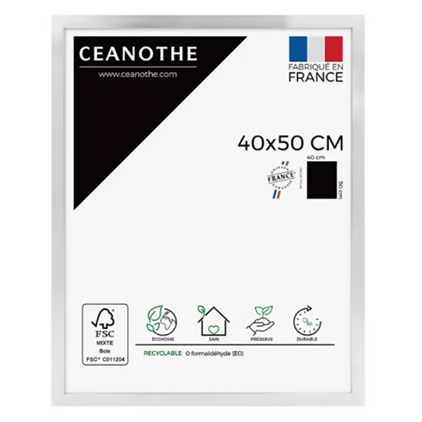 CADRE 40X50 PRECIOUS ACIER