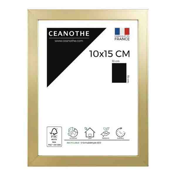 CADRE 10X15 PRECIOUS DORE