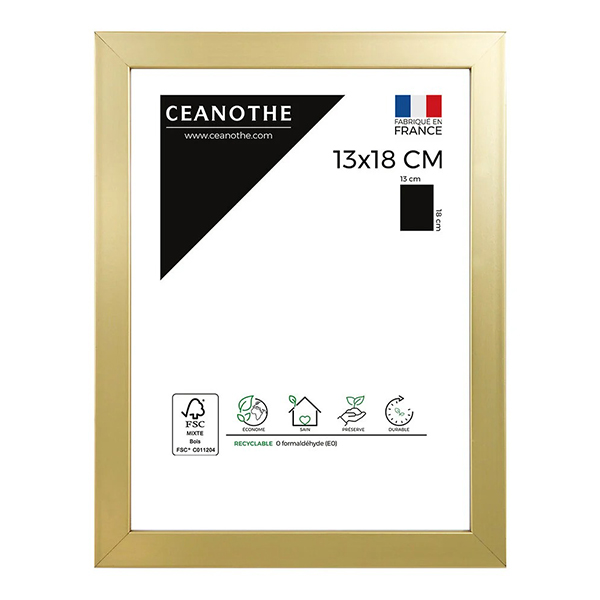 CADRE 13X18 PRECIOUS DORE