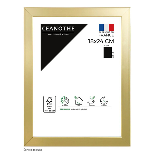 CADRE 18X24 PRECIOUS DORE