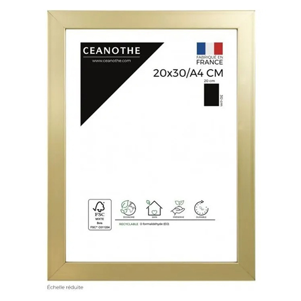 CADRE 20X30A4 PRECIOUS DORE
