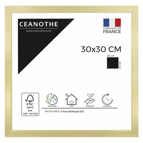 CADRE 30X30 PRECIOUS DORE