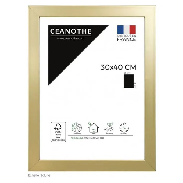 CADRE 30X40 PRECIOUS DORE