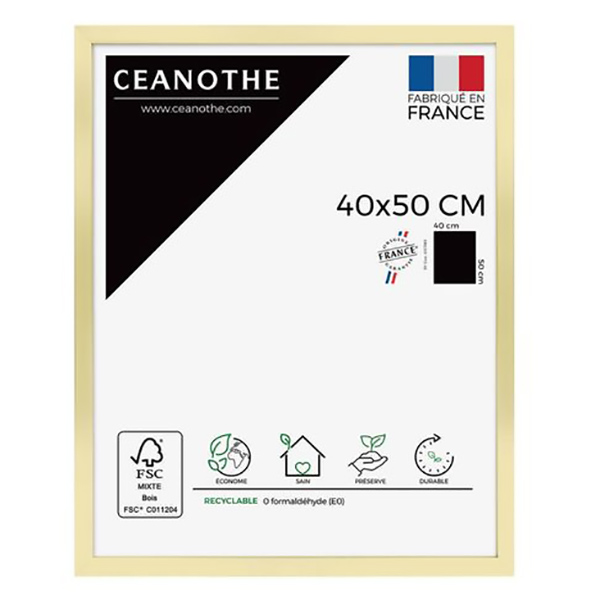 CADRE 40X50 PRECIOUS DORE