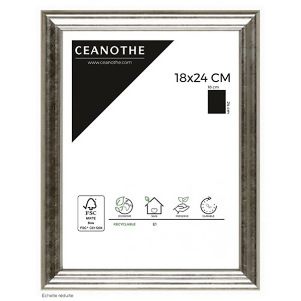 CADRE 18X24 CIRCEE ARGENT