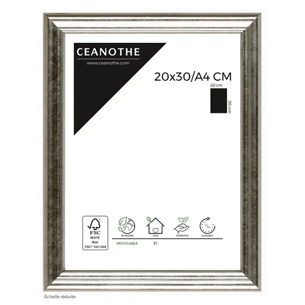 CADRE 20X3/A4 CIRCEE ARGENT
