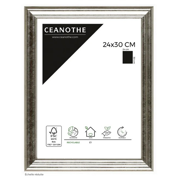 CADRE 24X30 CIRCEE ARGENT