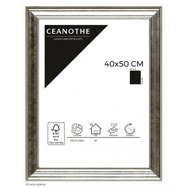CADRE 40X50 CIRCEE ARGENT