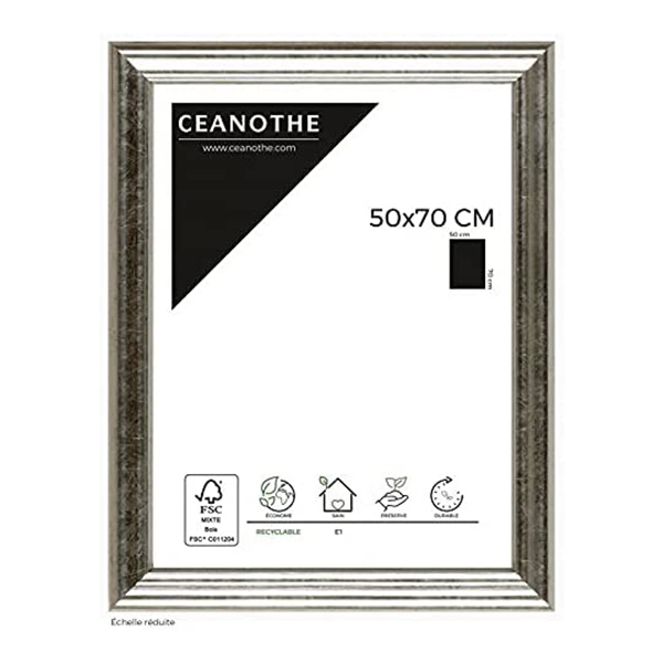 CADRE 50X70 CIRCEE ARGENT