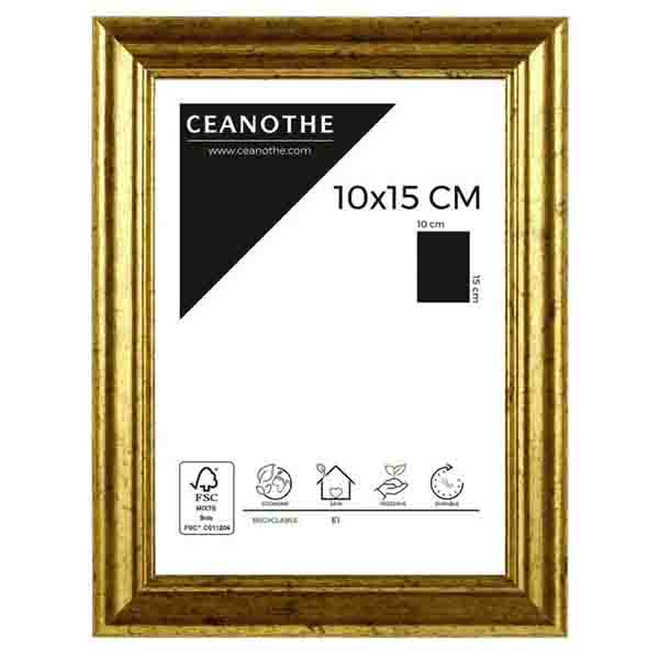 CADRE 10X15 CIRCEE DOREE