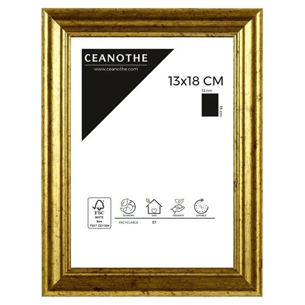 CADRE 13X18 CIRCEE DOREE