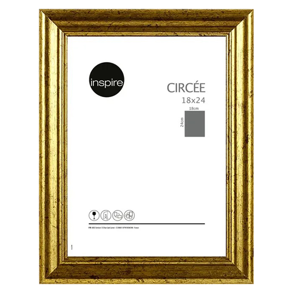 CADRE 18X24 CIRCEE DOREE