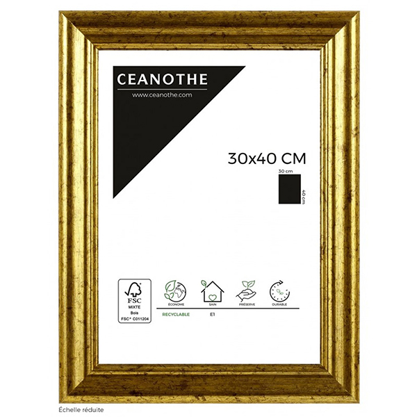 CADRE 30X40 CIRCEE DOREE