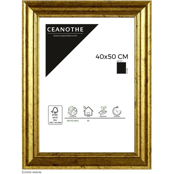 CADRE 40X50 CIRCEE DOREE