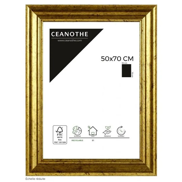 CADRE 50X70 CIRCEE DOREE