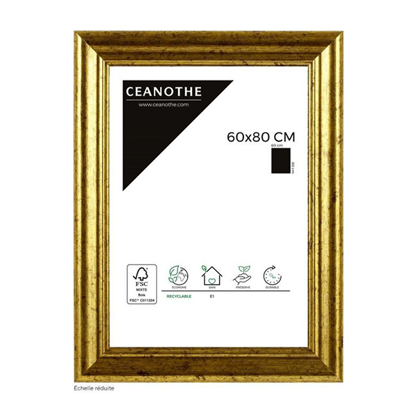 CADRE 60X80 CIRCEE DOREE